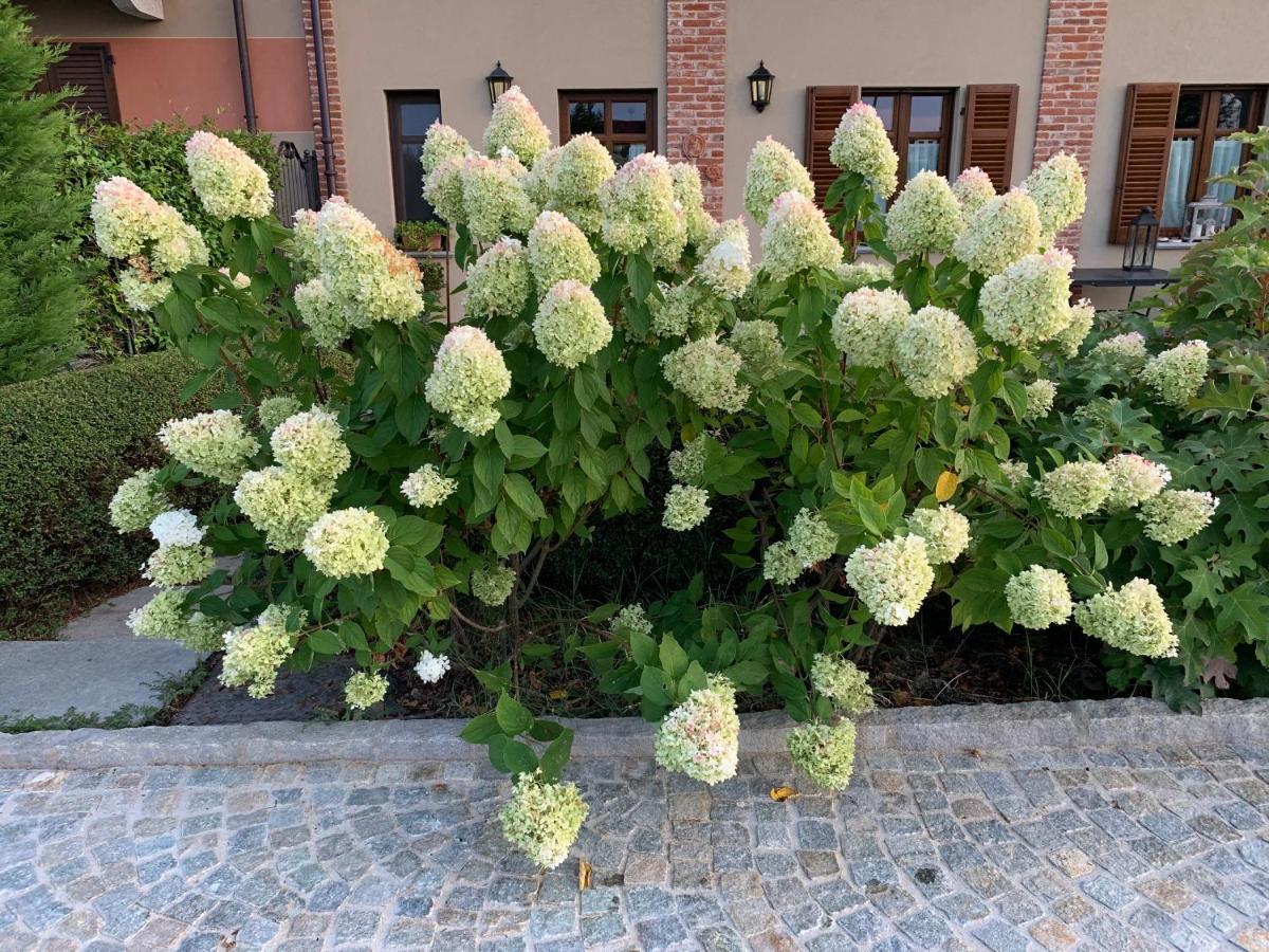 Agriturismo Sarmore Salmore Exterior foto